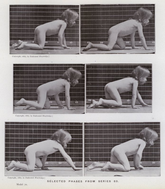 Figura ludzka w ruchu: wybrane fazy z serii 83 (zdjęcie czarno-białe) autorstwa Eadweard Muybridge