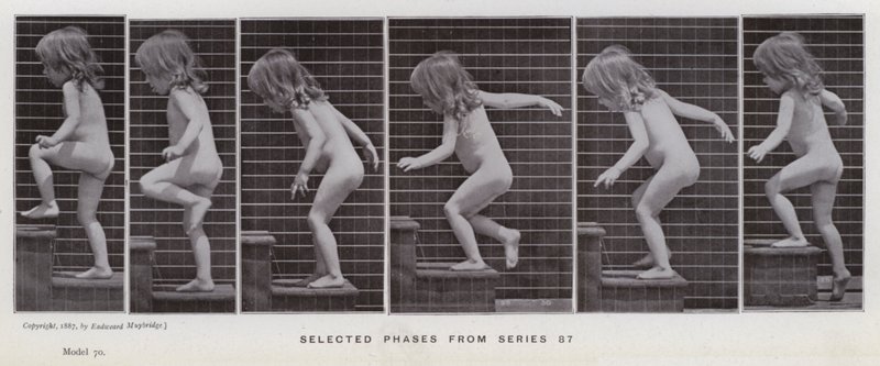 Figura ludzka w ruchu: wybrane fazy z serii 87 (zdjęcie czarno-białe) autorstwa Eadweard Muybridge