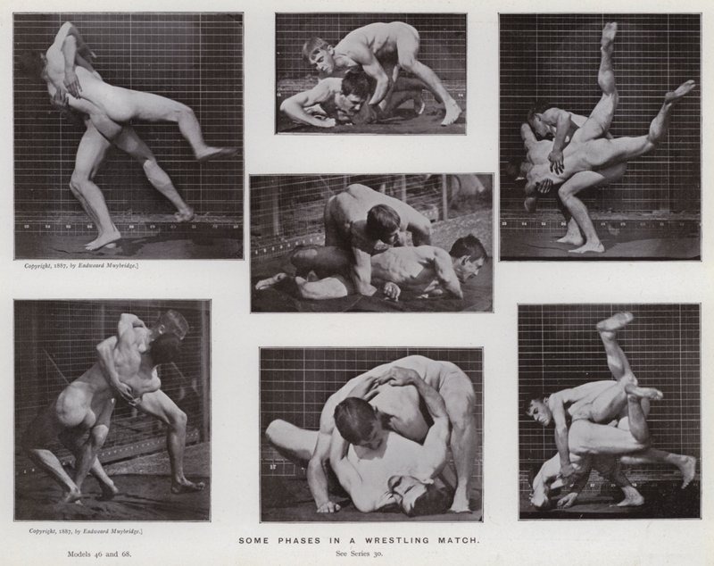 Postać ludzka w ruchu: niektóre fazy meczu zapaśniczego (zdjęcie czarno-białe) autorstwa Eadweard Muybridge