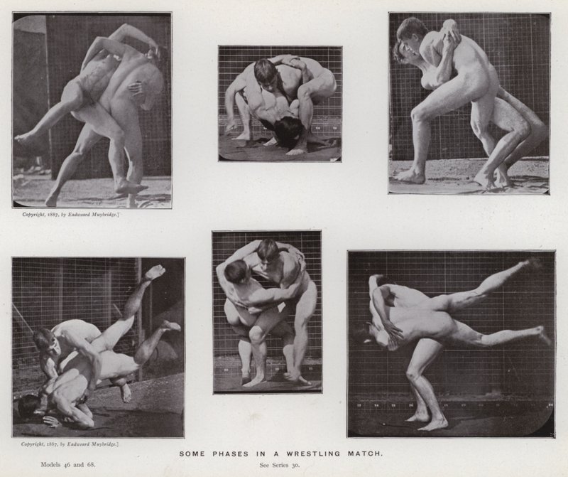Postać ludzka w ruchu: niektóre fazy meczu zapaśniczego autorstwa Eadweard Muybridge