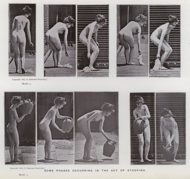 Postać ludzka w ruchu: niektóre fazy zachodzące podczas pochylania się autorstwa Eadweard Muybridge