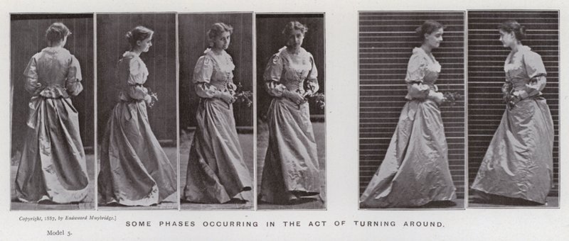 Figura ludzka w ruchu: niektóre fazy zachodzące podczas odwracania się (zdjęcie czarno-białe) autorstwa Eadweard Muybridge