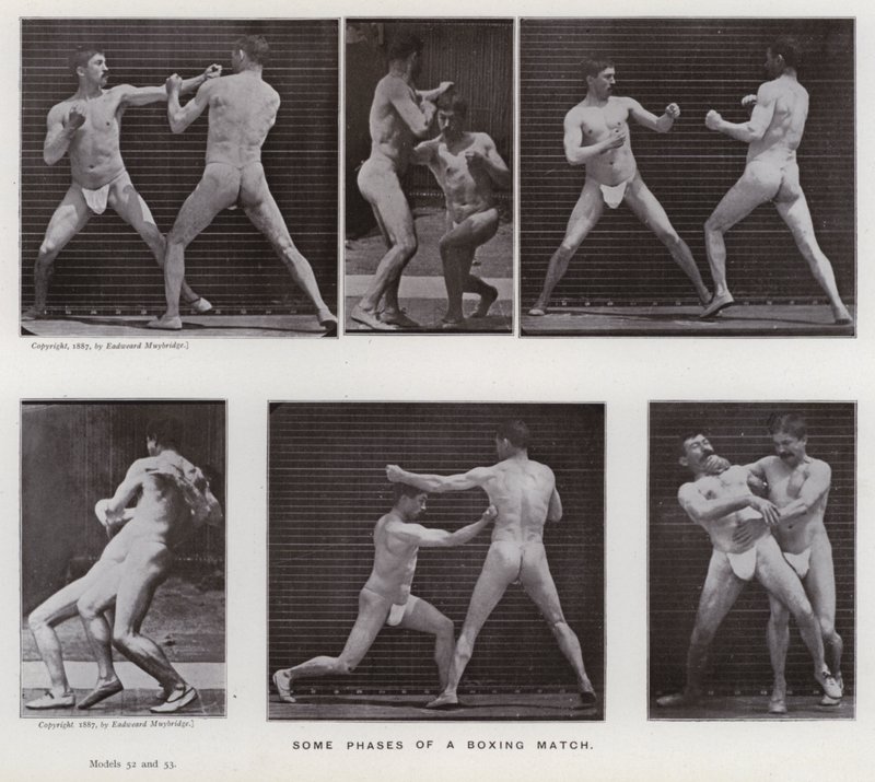 Postać ludzka w ruchu: niektóre fazy meczu bokserskiego (zdjęcie czarno-białe) autorstwa Eadweard Muybridge