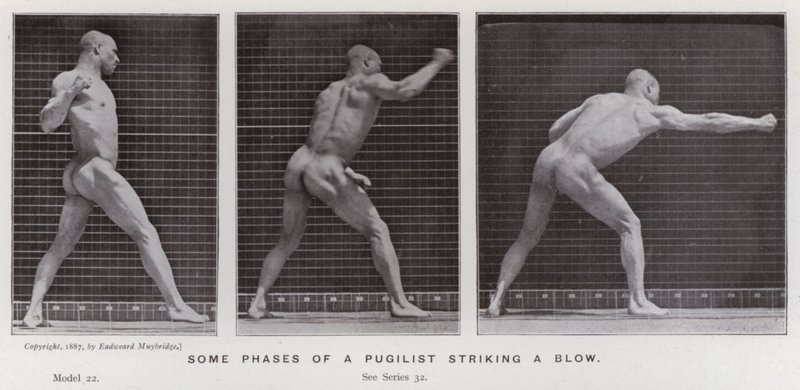 Postać ludzka w ruchu: niektóre fazy pięściarza uderzającego (zdjęcie czarno-białe) autorstwa Eadweard Muybridge