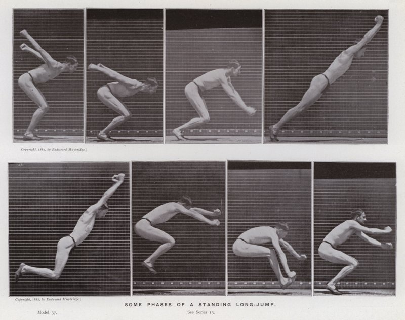 Postać ludzka w ruchu: niektóre fazy skoku w dal z pozycji stojącej (zdjęcie czarno-białe) autorstwa Eadweard Muybridge