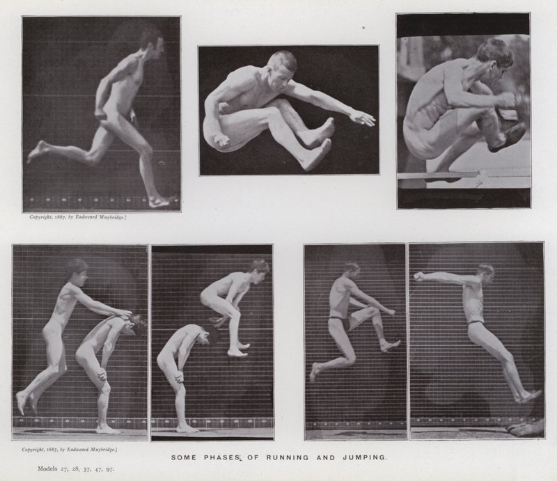 Postać ludzka w ruchu: niektóre fazy biegania i skakania (zdjęcie czarno-białe) autorstwa Eadweard Muybridge