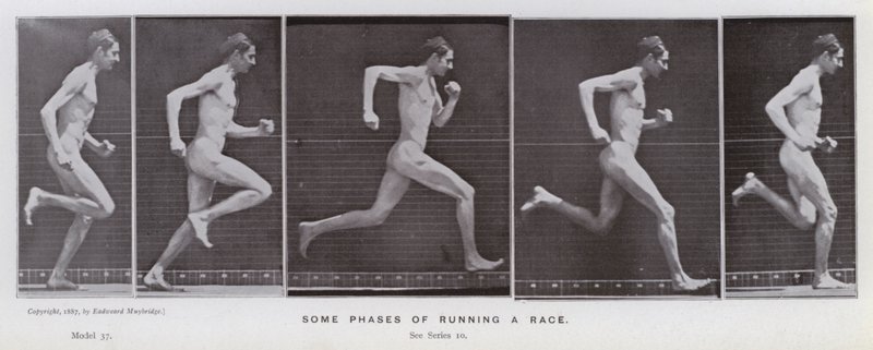 Postać ludzka w ruchu: niektóre fazy biegu do wyścigu (zdjęcie czarno-białe) autorstwa Eadweard Muybridge