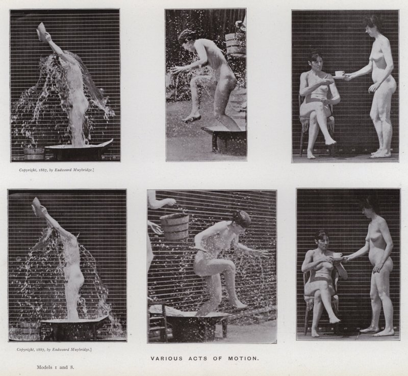 Postać ludzka w ruchu: różne akty ruchu (zdjęcie czarno-białe) autorstwa Eadweard Muybridge