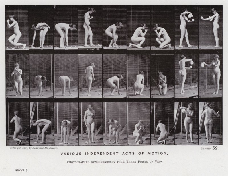 Figura ludzka w ruchu: różne niezależne akty ruchu (zdjęcie czarno-białe) autorstwa Eadweard Muybridge