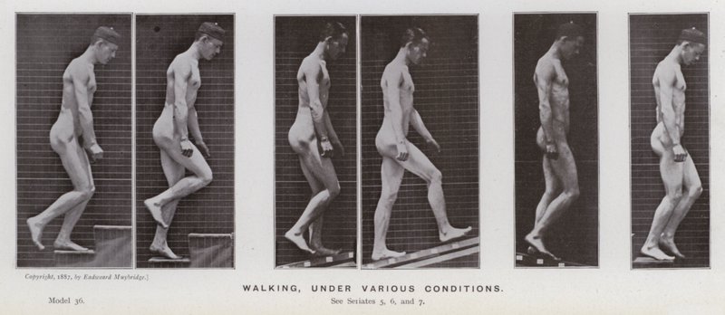 Postać ludzka w ruchu: chodzenie w różnych warunkach (zdjęcie czarno-białe) autorstwa Eadweard Muybridge