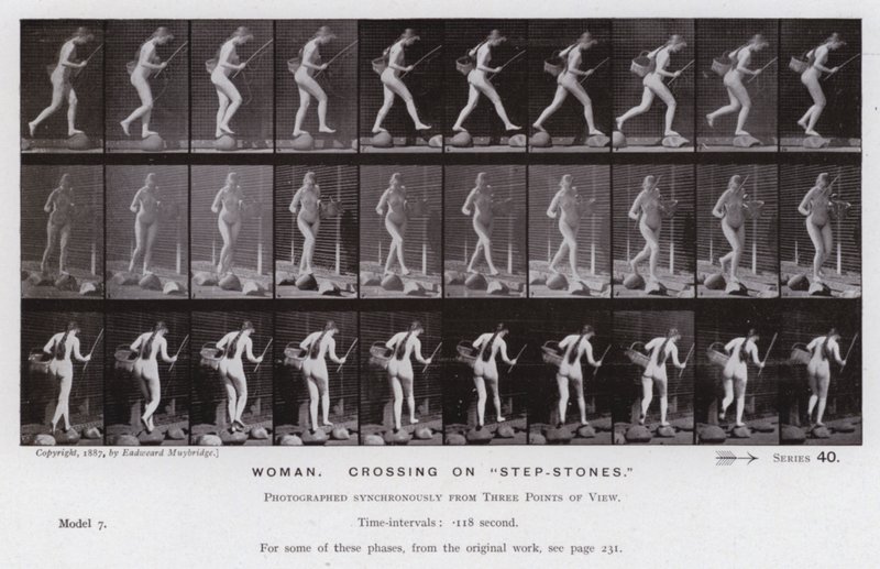 Postać ludzka w ruchu: kobieta, przejście na „stopniach” (zdjęcie czarno-białe) autorstwa Eadweard Muybridge