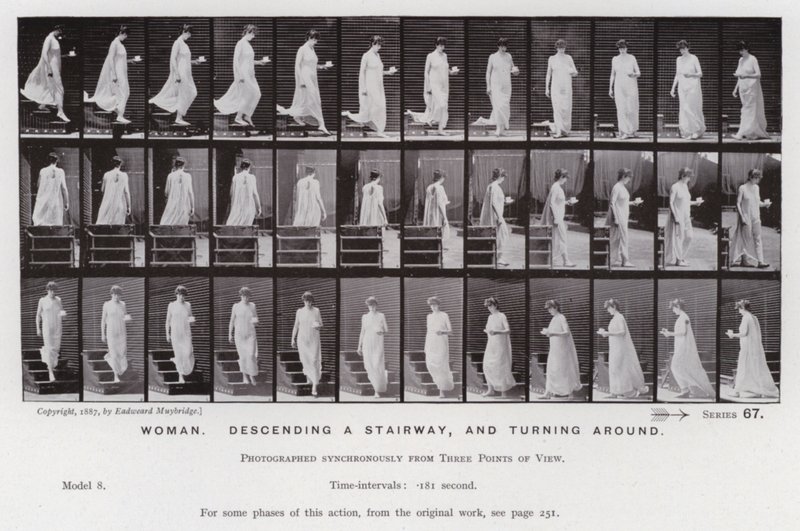 Postać ludzka w ruchu: kobieta schodząca po schodach i odwracająca się (zdjęcie czarno-białe) autorstwa Eadweard Muybridge