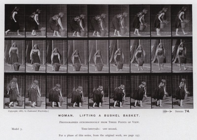 Postać ludzka w ruchu: Kobieta, unosząca koszyk z korcem (zdjęcie czarno-białe) autorstwa Eadweard Muybridge