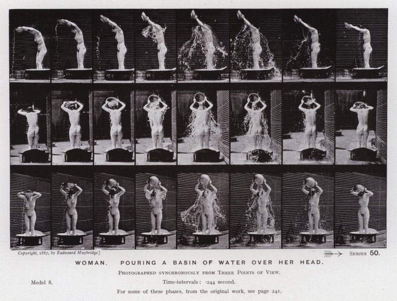 Postać ludzka w ruchu: kobieta, która wylewa nad głowę miskę z wodą (zdjęcie czarno-białe) autorstwa Eadweard Muybridge