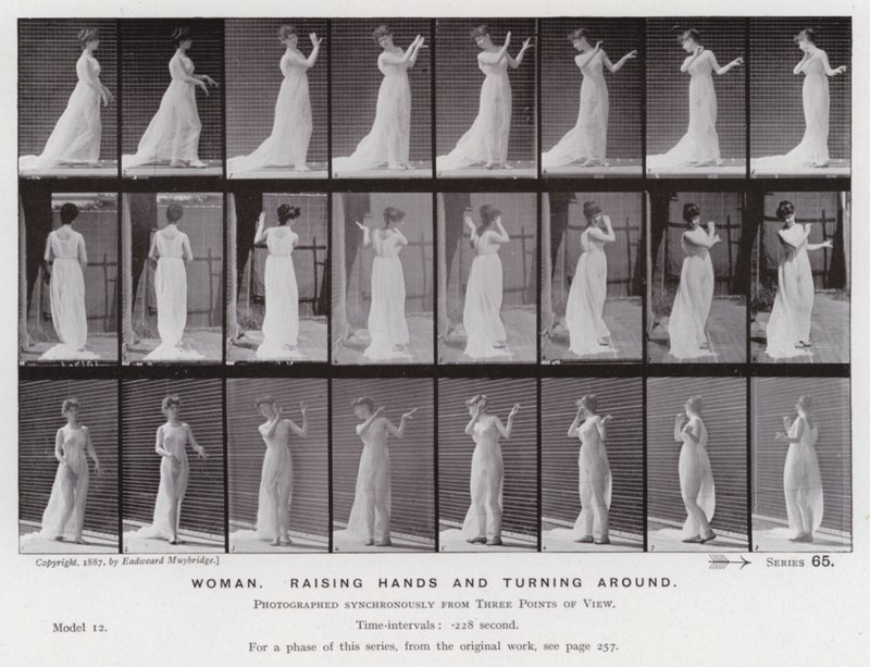 Postać ludzka w ruchu: kobieta, podnosząca ręce i odwracająca się (zdjęcie czarno-białe) autorstwa Eadweard Muybridge