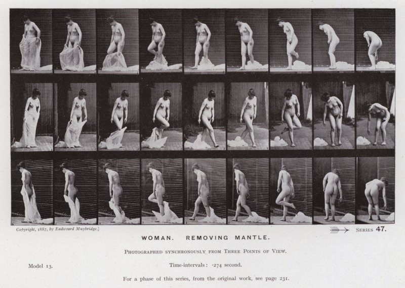 Postać ludzka w ruchu: kobieta, zdejmująca płaszcz (zdjęcie czarno-białe) autorstwa Eadweard Muybridge