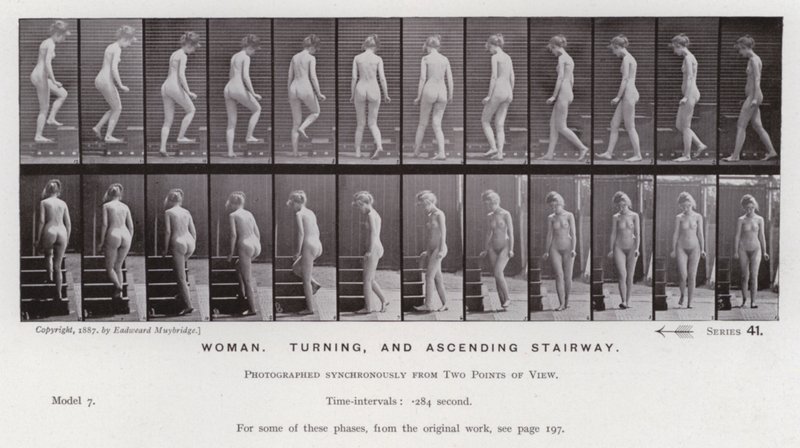 Postać ludzka w ruchu: kobieta, skręcanie i wchodzenie po schodach (zdjęcie czarno-białe) autorstwa Eadweard Muybridge