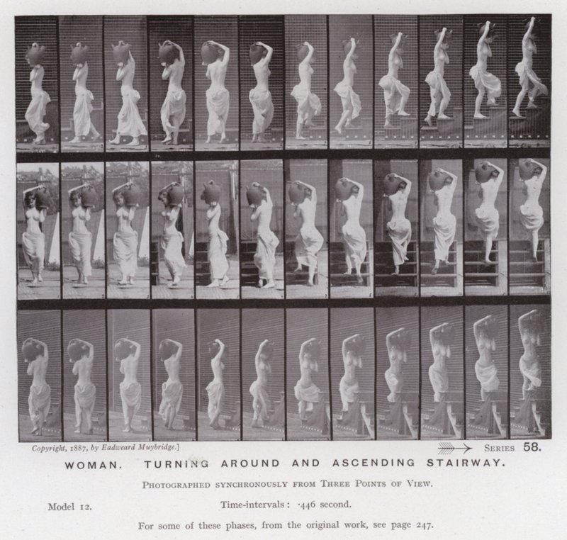 Postać ludzka w ruchu: kobieta, odwracająca się i wchodząca po schodach (zdjęcie czarno-białe) autorstwa Eadweard Muybridge