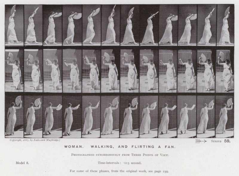 Postać ludzka w ruchu: kobieta, spacerująca i flirtująca z fanem (zdjęcie czarno-białe) autorstwa Eadweard Muybridge