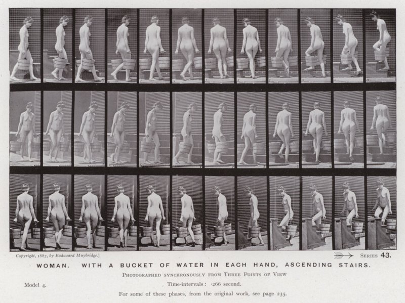 Postać ludzka w ruchu: Kobieta z wiadrem wody w każdej ręce, wchodząca po schodach autorstwa Eadweard Muybridge