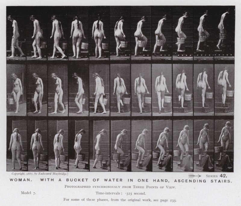Postać ludzka w ruchu: kobieta z wiadrem wody w jednej ręce, wchodząc po schodach (zdjęcie czarno-białe) autorstwa Eadweard Muybridge