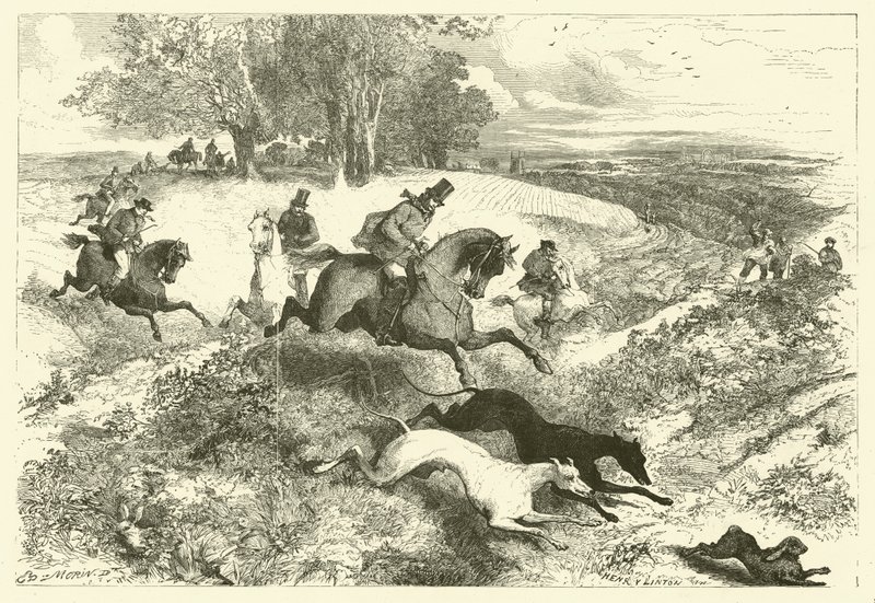 Hare coursing w Anglii (grafika) autorstwa Edmond (after) Morin