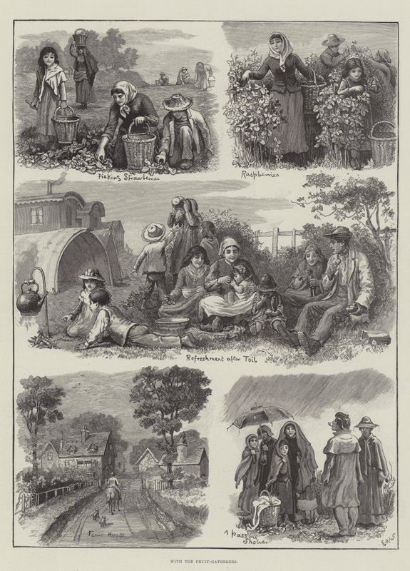 Z zbieraczami owoców autorstwa Edmund Richard White