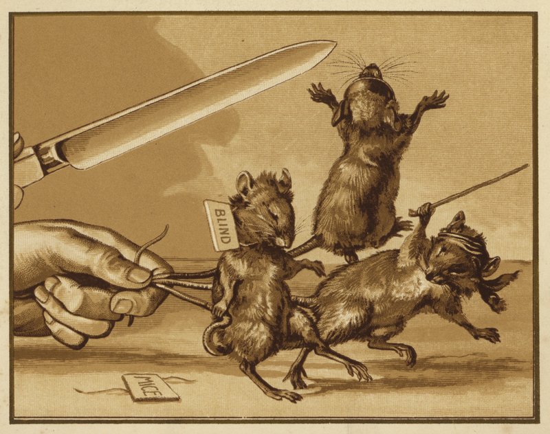 Ilustracja do trzech ślepych myszy (kolor lito) autorstwa Edmund G. Caldwell