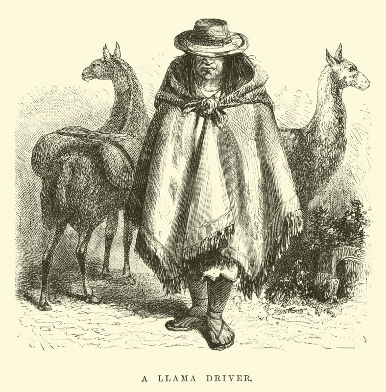 Kierowca lamy autorstwa Edouard Riou