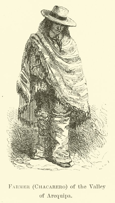 Rolnik (Chacarero) z Doliny Arequipa autorstwa Edouard Riou