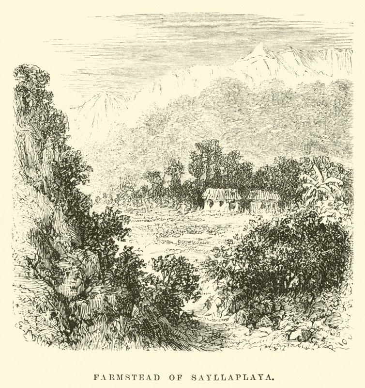 Zagroda Sayllaplaya autorstwa Edouard Riou