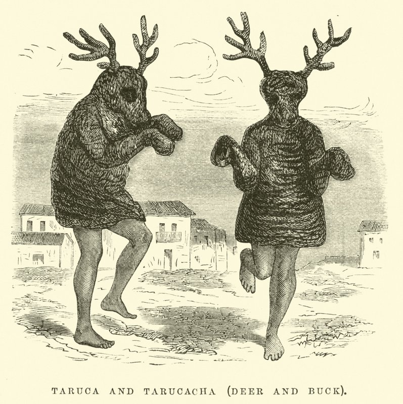 Taruca i Tarucacha, jeleń i buck autorstwa Edouard Riou