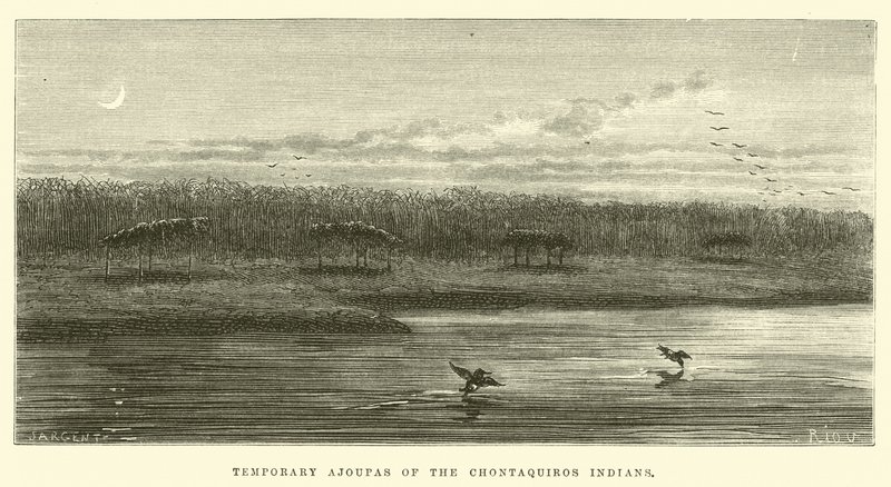 Tymczasowe ajoupy Indian Chontaquiros autorstwa Edouard Riou