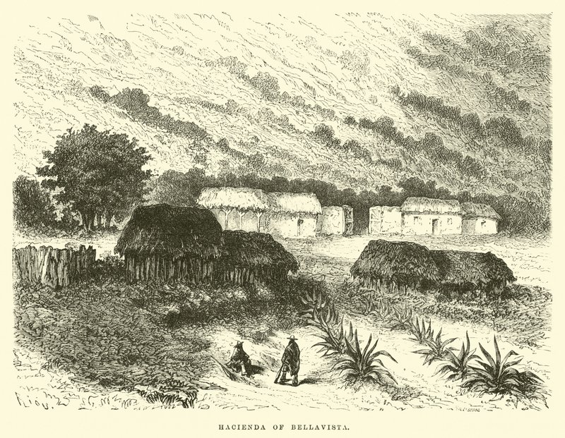 Hacjenda Bellavista autorstwa Edouard Riou