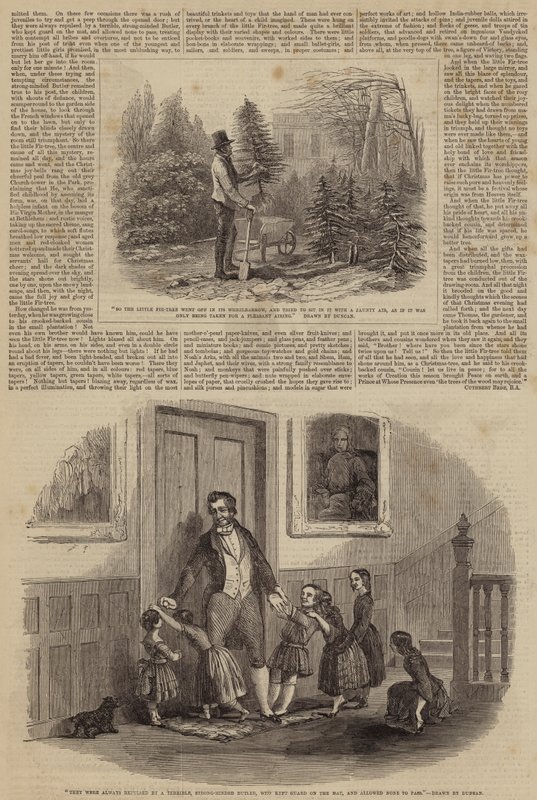 Ilustracje do małej jodły autorstwa Edward Duncan