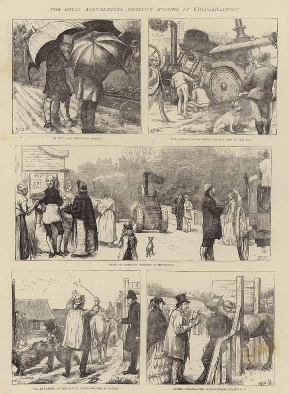 Spotkanie Królewskiego Towarzystwa Rolniczego w Wolverhampton autorstwa Edward Frederick Brewtnall