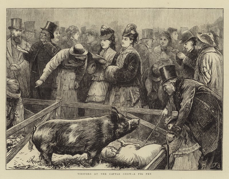 Goście na Cattle Show, Pig Pen autorstwa Edward Frederick Brewtnall