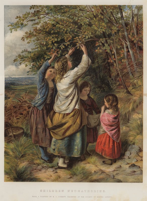 Dzieci zbierają orzechy autorstwa Edward John Cobbett