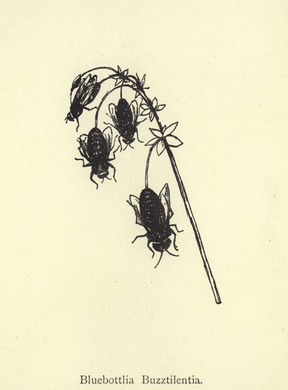 Bluebottlia Buzztilentia autorstwa Edward Lear