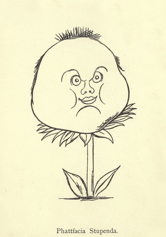 Znakomity Phattfacia autorstwa Edward Lear