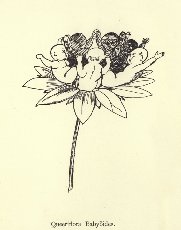 Queeriflora Babyoides autorstwa Edward Lear