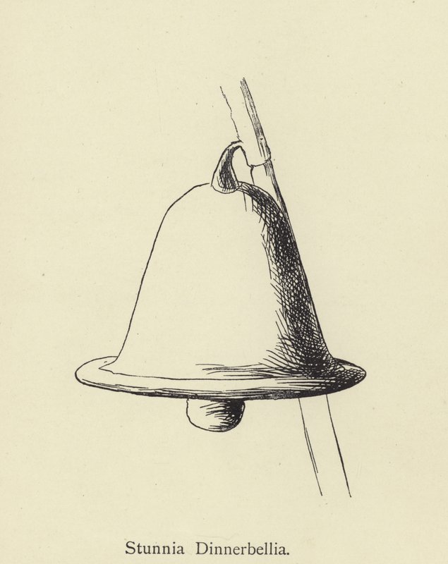 Stunnia Dinnerbellia autorstwa Edward Lear