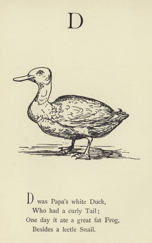 Litera D autorstwa Edward Lear