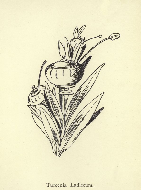 Tureenia Ladlecum autorstwa Edward Lear