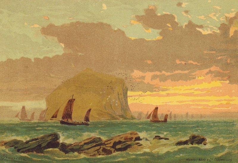 The Bass Rock (kolorowa litografia) autorstwa Edward (after) Duncan