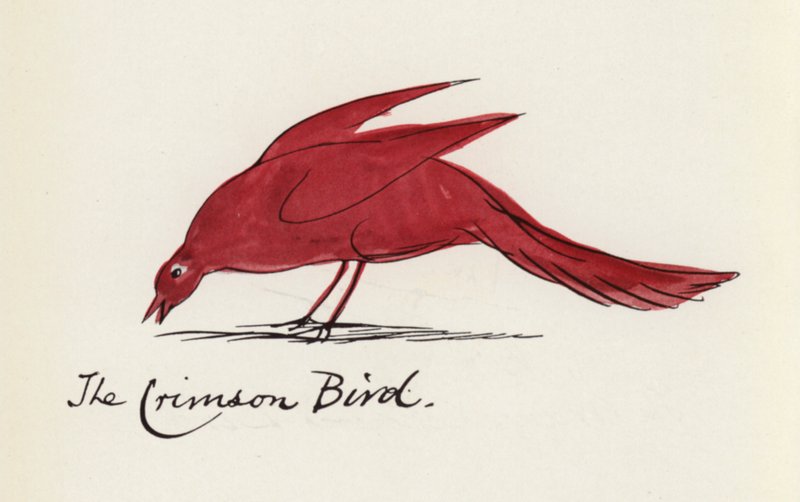 Edward Lear, Księga ptaków: Karmazynowy ptak (kolor lito) autorstwa Edward (after) Lear