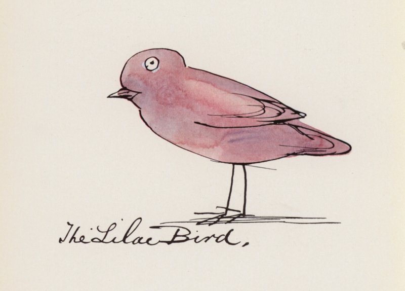 Edward Lear, Księga ptaków: Ptak bez (kolor lito) autorstwa Edward (after) Lear