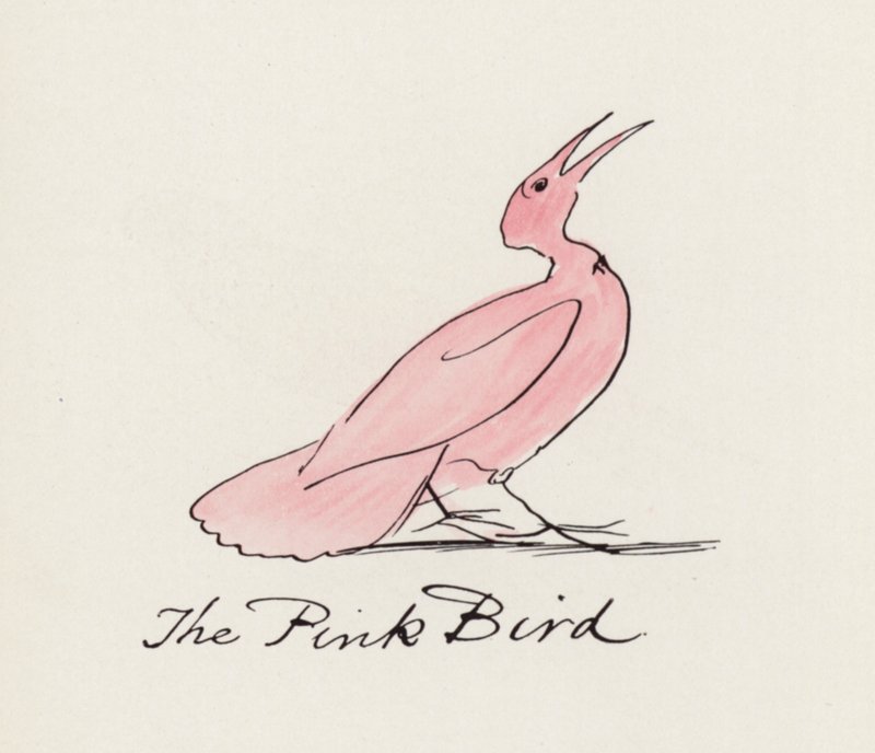 Edward Lear, Księga ptaków: Różowy ptak (kolor lito) autorstwa Edward (after) Lear