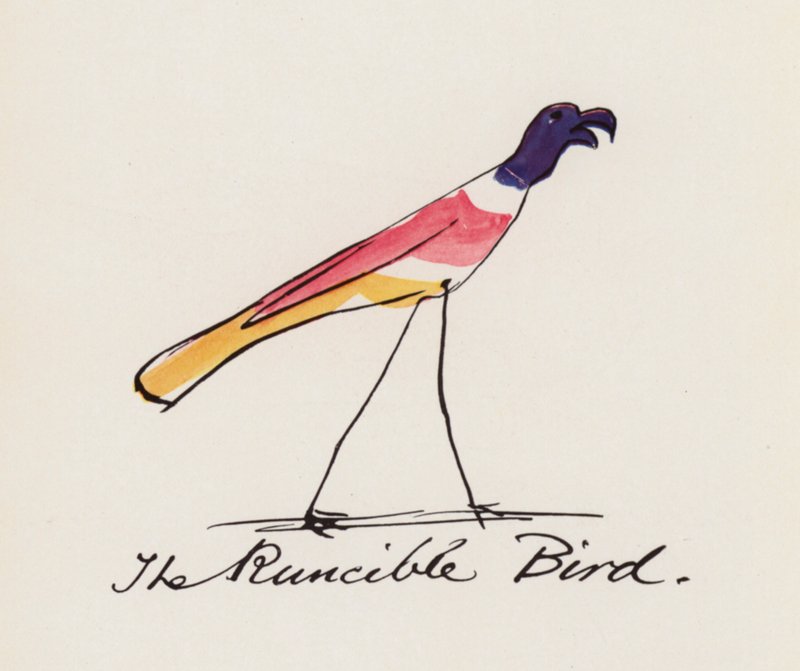 Edward Lear, Księga ptaków: Ptak Runcible (kolor lito) autorstwa Edward (after) Lear