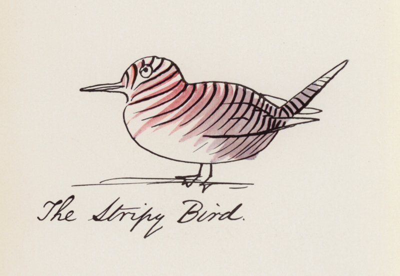Edward Lear, Ptasia księga: Pasiasty ptak (kolor lito) autorstwa Edward (after) Lear